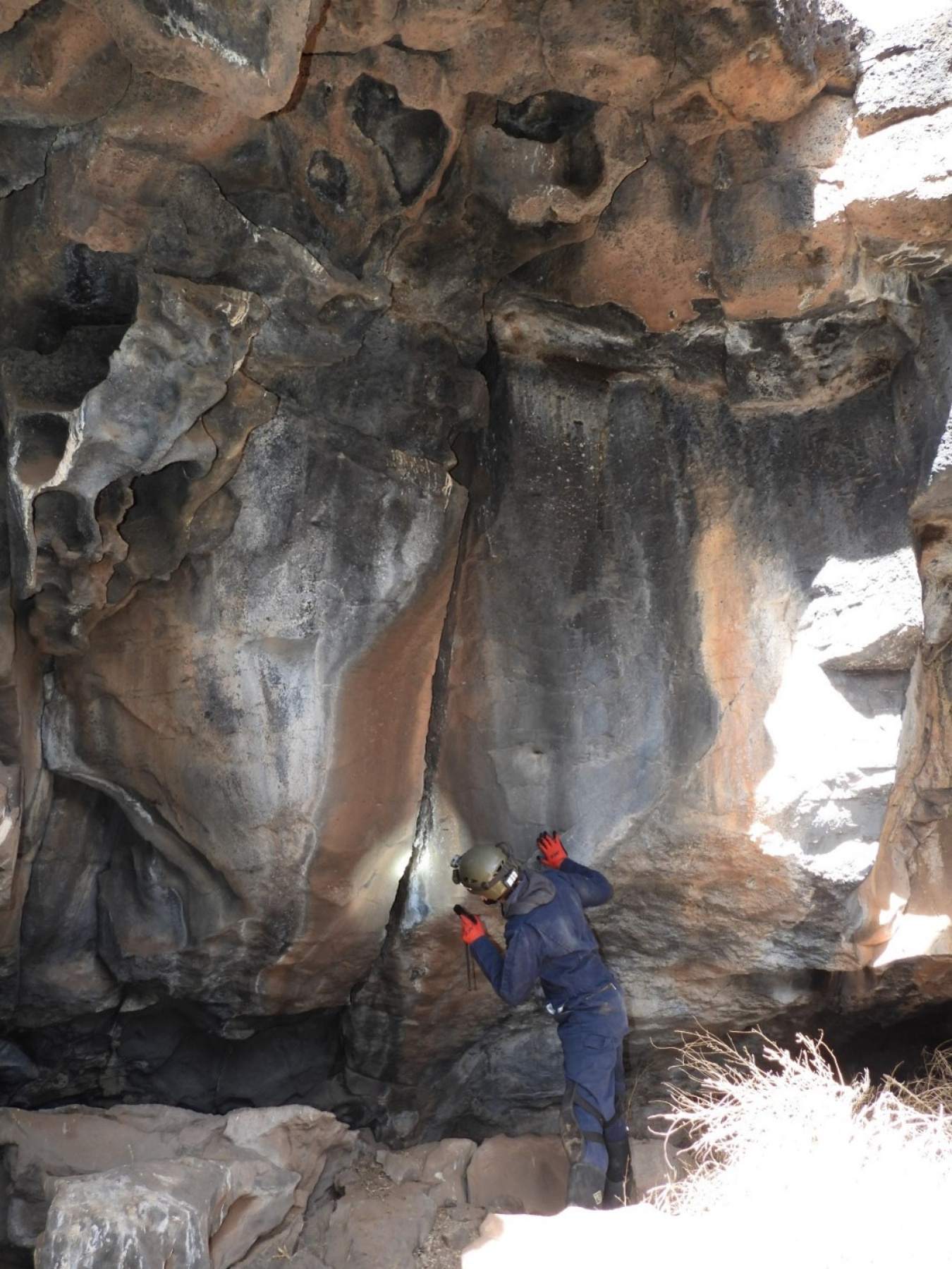 LM Partners with BCI to Complete Bat Survey at Bluewater Site